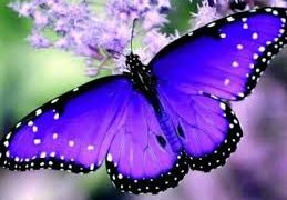 In Order to Be One Must Become